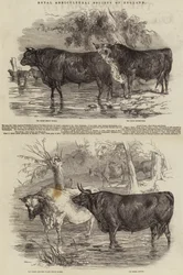 Royal Agricultural Society of England